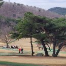 그린파크장 이미지