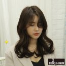 더이쁜머리 - 춘천시 | 더이쁜머리
