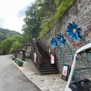 동화속이야기 | 🌱 원주 아이랑 가볼만한곳｜동화마을수목원 후기 (무료입장 + 나들이 등산코스)