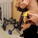 편한보조기 이미지