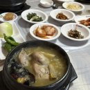 미니스톱 산수무등점 | [광주 북구] 걸쭉한 국물이 예술인 보양식 끝판왕 '황칠나라' 삼계탕