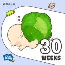 대평수산 | [쌍둥임신일기:30주] 드디어 3자를 달다니 감격이자나 (임신후기증상, 임산부 붓기, 임당 혈액검사)