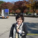 2010년 10월 29일(금) 과천 서울대공원 미술관 가는 길에서 이미지