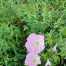 흥덕농장 이미지