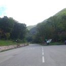 팔공산금화자연휴양림 이미지