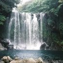 천제연폭포 이미지