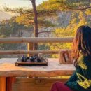 숲의하루 이미지