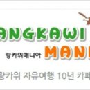 로빈여행사