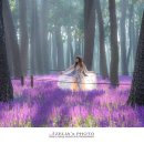 해송공원 이미지