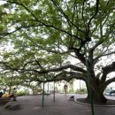 당산휴게소 이미지