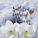 행복한날 이미지