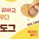 도그허니 네이버블로그