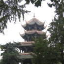 설도공원 이미지