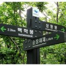 10/28[토]내장산+백암산1일2산 (100대 명산)-산행안내/좌석표 이미지