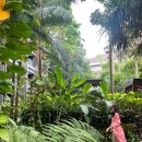 서동주 인스타 발리 신혼여행 이미지