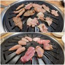 뽈살집 한림점 티스토리
