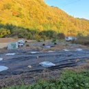 미현농장 이미지