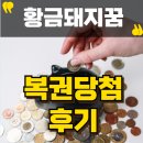황금돼지꿈 실제로 복권당첨 후기많은꿈
