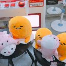 뽀바가게 이미지