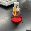 천연염색에 대한 이해와 실습 | 일반 미생물 실습 교육 후기 / 한국식품정보원 3일과정 정리