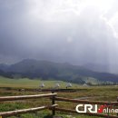 풀밭나라 이미지