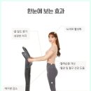 비에스렌탈