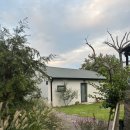 하귤소담 이미지