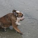 해랑방2 이미지