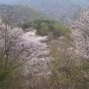 인삼당한의원 이미지