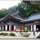 지리산화개깊은골 이미지