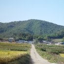 득량청암마을 이미지