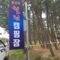 몽산포힐링캠핑장 이미지