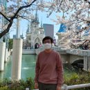 벚꽃공인중개사사무소 이미지