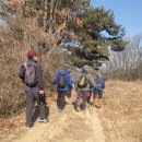 청주 서원구 남이면 망월산(267m)을 오르다 이미지