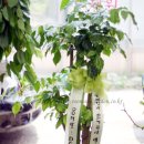 공범농장 이미지