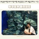 3월 아이와 일본 여행 후쿠오카 마린월드