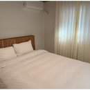 스테이온하루 이미지