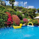 펫밀리펜션 이미지