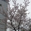 공이2리경로당 이미지