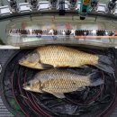 용성좌대 이미지