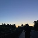 [문화여행] 제주 나 혼자 간다 | 8월 제주도 휴가 일기 (2) 성산일출봉 러닝, 아쿠아플라넷 제휴 식당, 문화통닭, 우럭튀김 민경이네