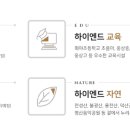 트리마제주변공원 이미지