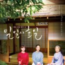 일일시호일 이미지