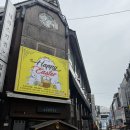 (주)영우 롯데 본점 | 3월 셋째주 성심당 방문 후기(성심당 본점, 성심당 롯데백화점 대전점, 성심당 케익부띠끄, 성심당 시루...