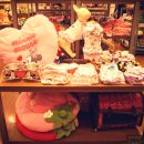 펫 파라다이스(pet paradise) 이미지