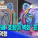 안동 카페 '호랑이 벽화' 표절 논란..1심 징역형 (2025.04.30/뉴스투데이/포항MBC) 이미지