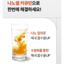 나노네이처 | 가성비 갑! 모어네이처 수용성 커큐민 나노셀 8박스 흡수율 UP 강황 울금 고함량 건강템