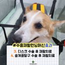 옥서스 하남센터 이미지