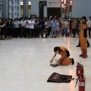 성남소방서 이미지