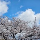 127.생연초교사거리_4 | 스폐셜 상차림부터 이천갈비 제대로 하는 이천맛집 추천해요~ 갈비진리